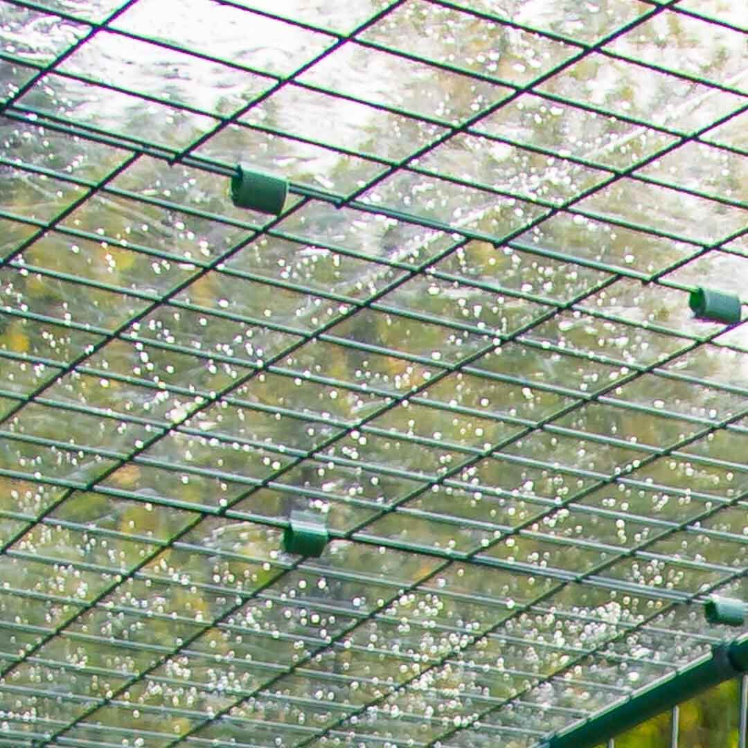 Clear Rabbit Run Cover - 6ft x 6ft