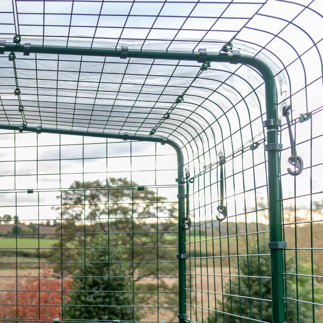 72-clear-rabbit-run-cover-6ft-x-6ft-1.webp
