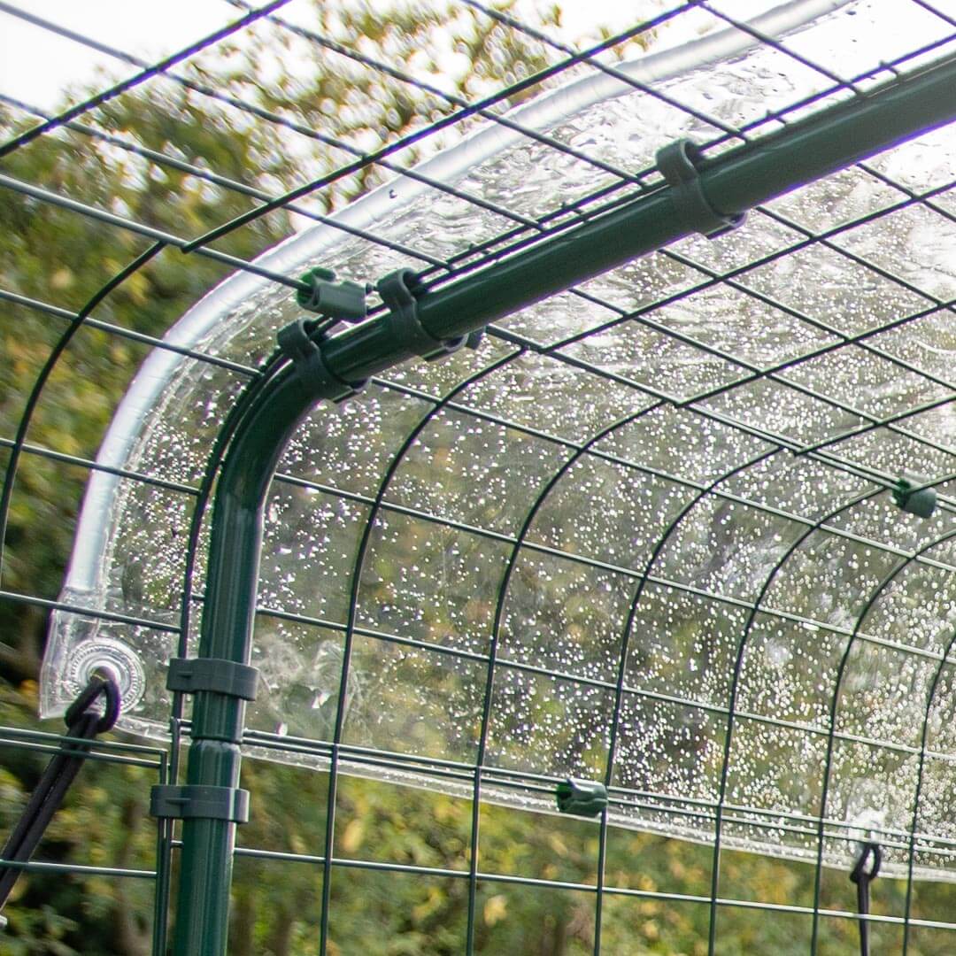 72-clear-rabbit-run-cover-6ft-x-6ft-1.webp