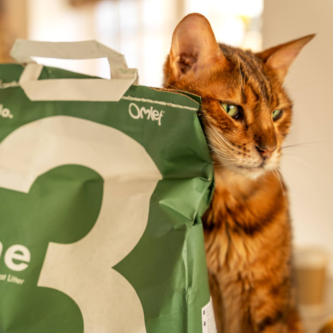 85-omlet-cat-litter-no-3-pine-11-lbs–1.jpg